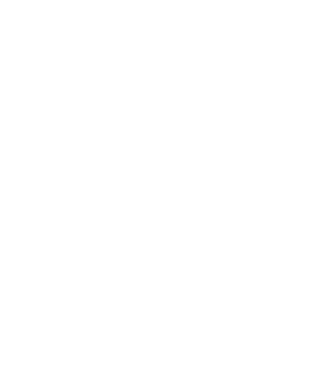 Artemis Group System